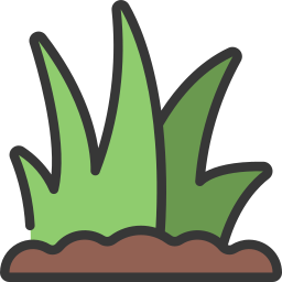 Grass leaves icon