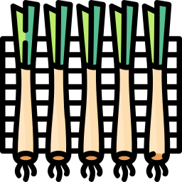 Green onion icon