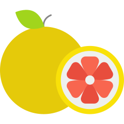 grapefruit icon