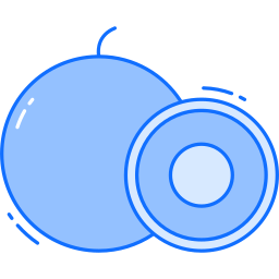 longan icon