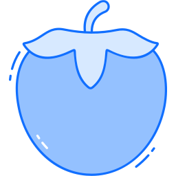 persimmon icon