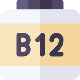 b12 icona