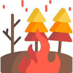 Fire icon