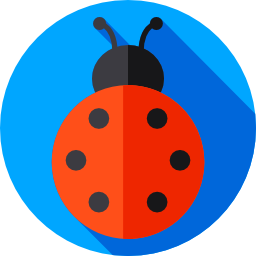 coccinelle Icône