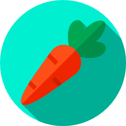 Carrot icon