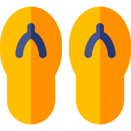 flip flops icon