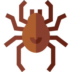 Spider icon