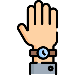 Wristwatch icon