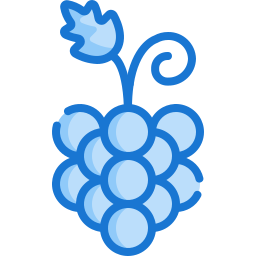 Grapes icon