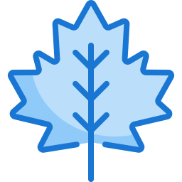 Maple leaf icon