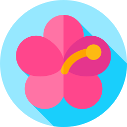 Hibiscus icon