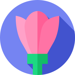 Cyclamen icon