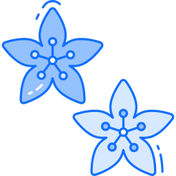 Cherry blossom icon