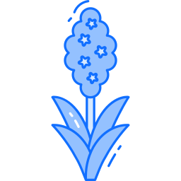 Hyacinth icon