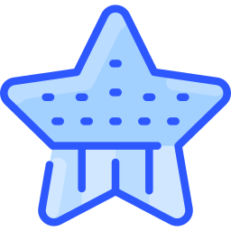 Star icon