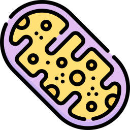 Mitochondria icon