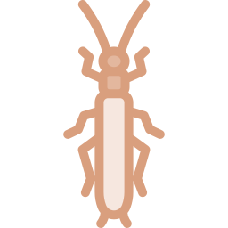 Stonefly icon