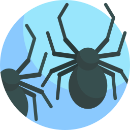 Spider icon