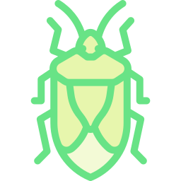 Stink bug icon