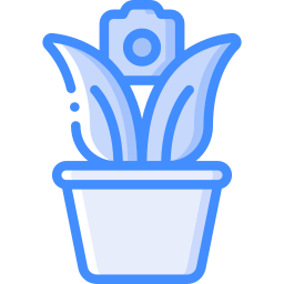 pflanze icon