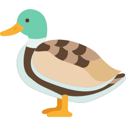 Duck icon