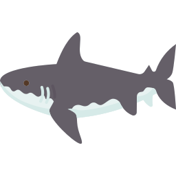 Shark icon