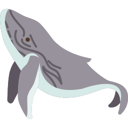 Whale icon