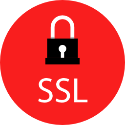 ssl icoon