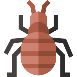 Bedbug icon