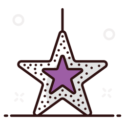 star icon