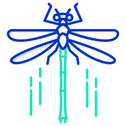 Dragonfly icon