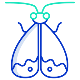 Moth icon