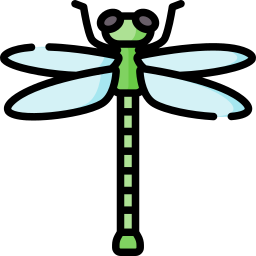 libellula icona