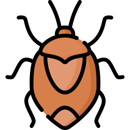 Stink bug icon