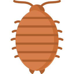 woodlouse Ícone