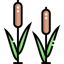 Reed icon