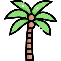 Coconut tree icon