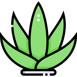 Aloe vera icon