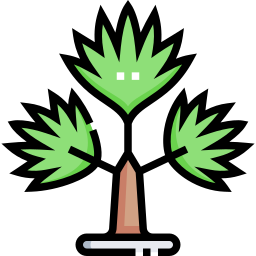 Palm tree icon