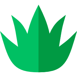 aloe vera icon