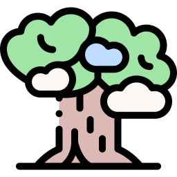 baobab icon