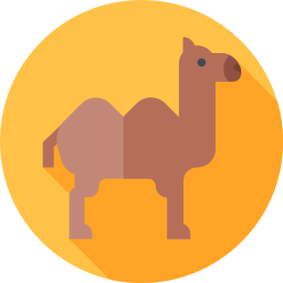 Camel icon