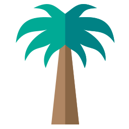 Coconut tree icon