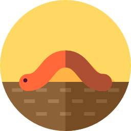 Worm icon