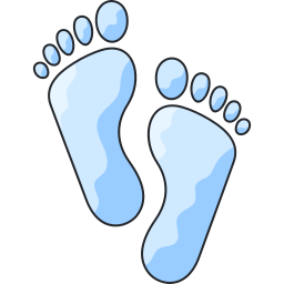 Footprint icon