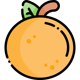 Orange icon