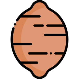 Sweet potato icon