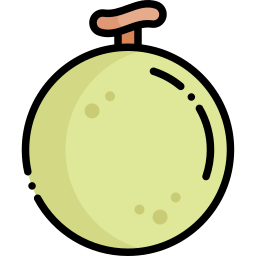 Melon icon