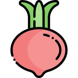 Radish icon