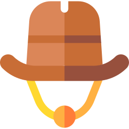 Cowboy hat icon